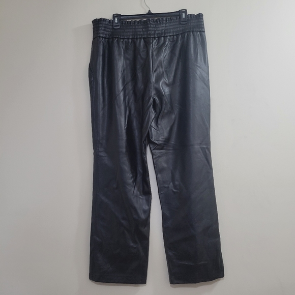 Joie faux leather stretchy straight leg pants net 1X - Picture 2 of 5